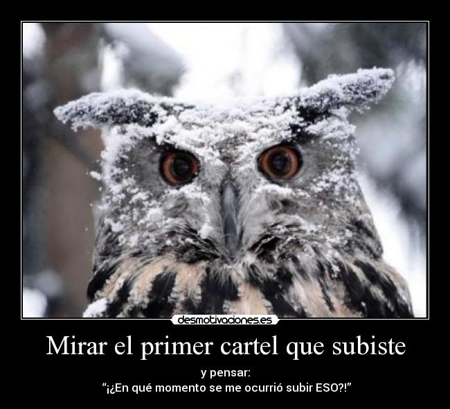 Mirar el primer cartel que subiste -