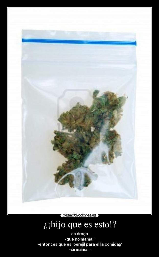 ¿¡hijo que es esto!? - es droga
-que no mamá¡¡
-entonces que es, perejil para el la comida¡?
-sii mama...
