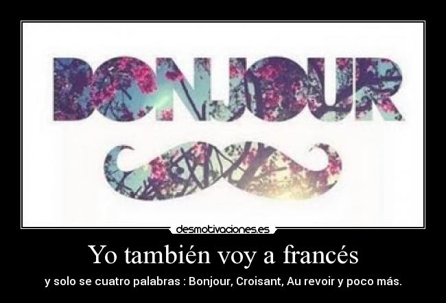 Yo también voy a francés - y solo se cuatro palabras : Bonjour, Croisant, Au revoir y poco más.