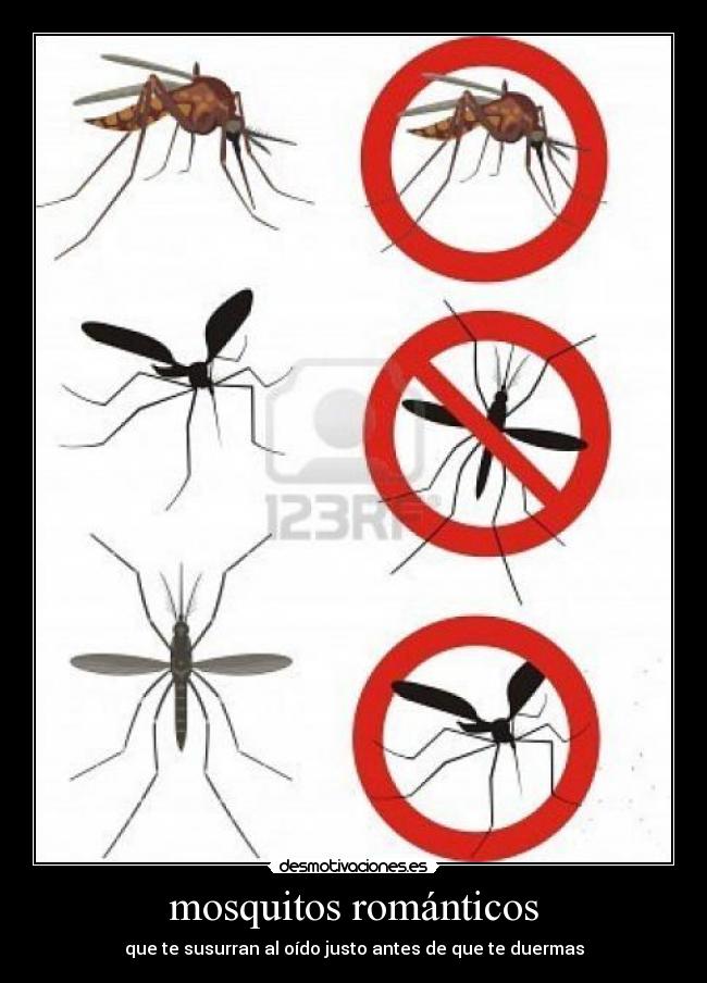 mosquitos románticos - que te susurran al oído justo antes de que te duermas