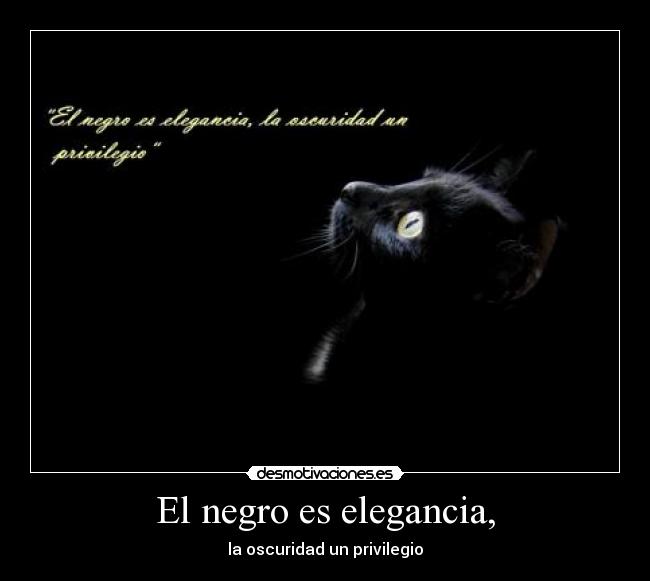 El negro es elegancia, - 