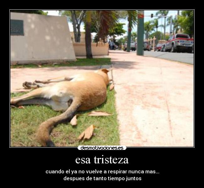 esa tristeza -