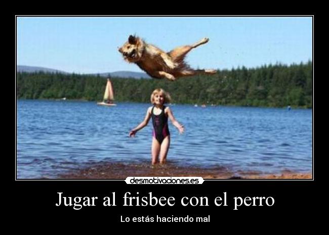 Jugar al frisbee con el perro - Lo estás haciendo mal