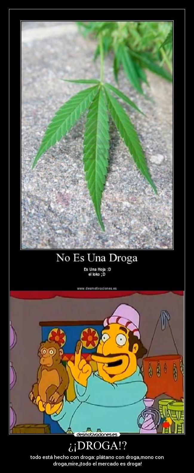 ¿¡DROGA!? - todo está hecho con droga: plátano con droga,mono con
droga,mire,¡todo el mercado es droga!