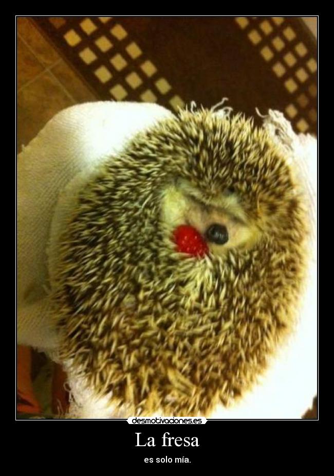 La fresa - es solo mía.