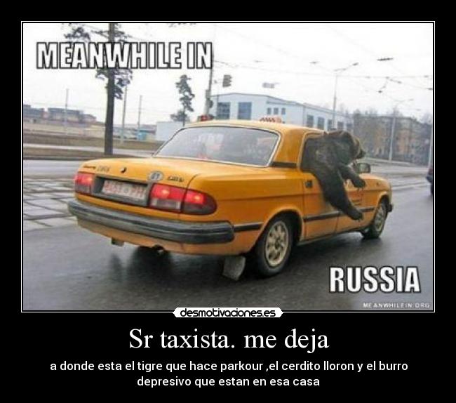 Sr taxista. me deja - a donde esta el tigre que hace parkour ,el cerdito lloron y el burro
depresivo que estan en esa casa