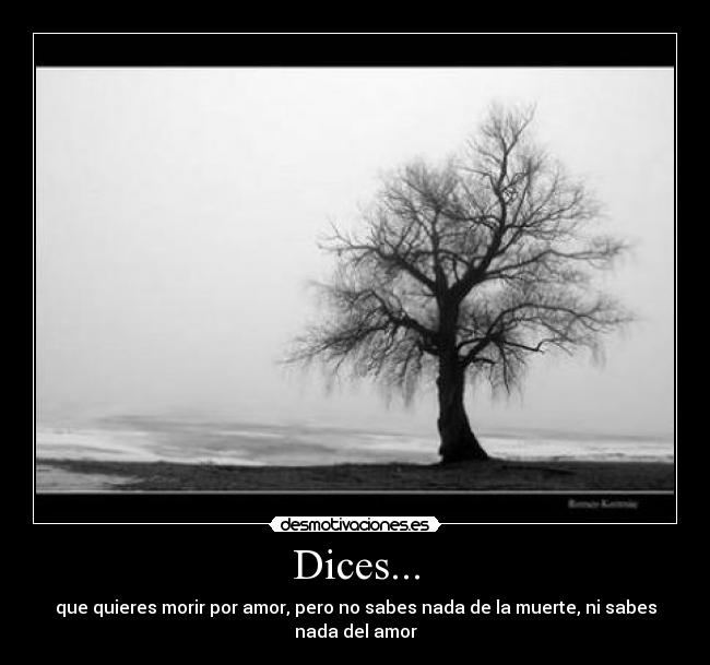 Dices... - 