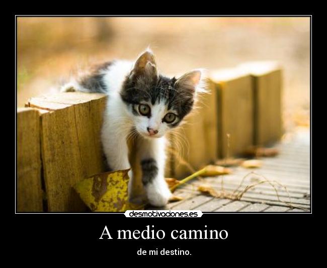 A medio camino -