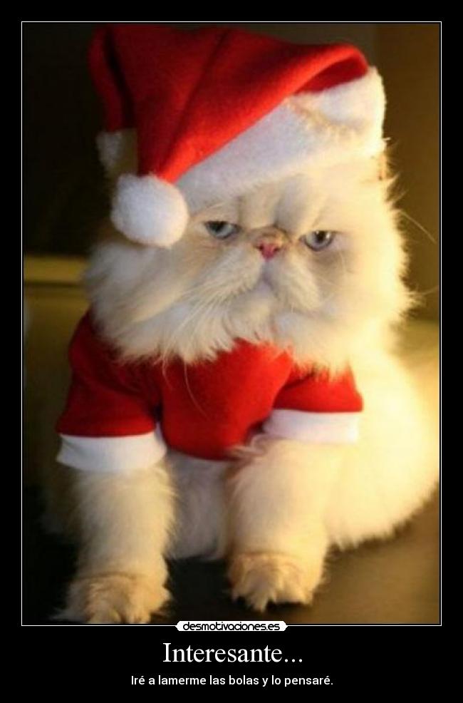 Interesante... - Iré a lamerme las bolas y lo pensaré.