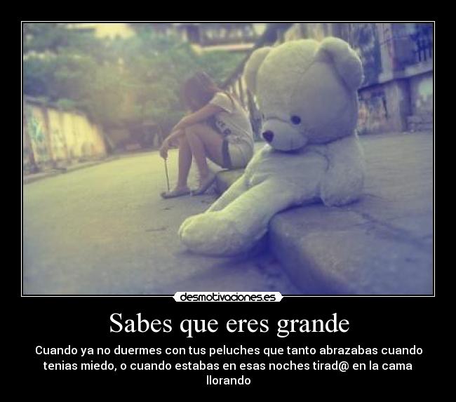 Sabes que eres grande - Cuando ya no duermes con tus peluches que tanto abrazabas cuando
tenias miedo, o cuando estabas en esas noches tirad@ en la cama
llorando
