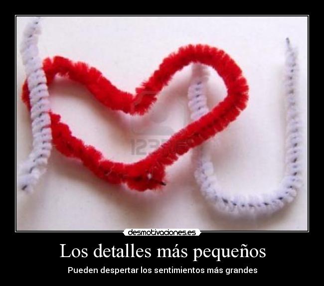 Los detalles más pequeños - 