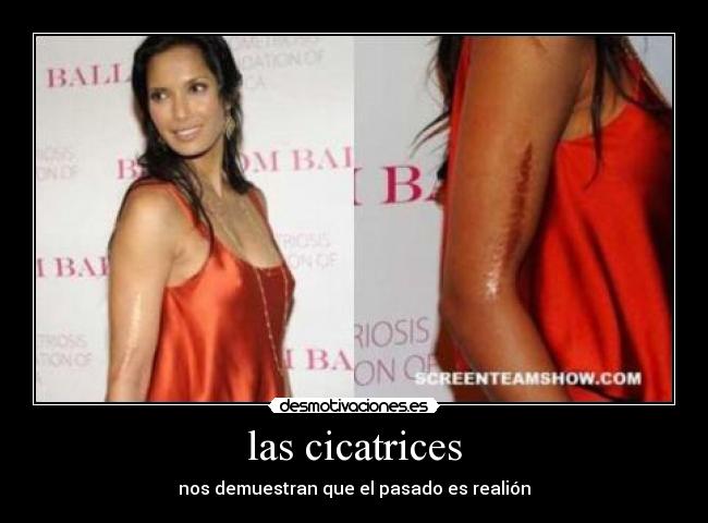 carteles nabila rafful velarde desmotivaciones