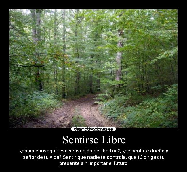 Sentirse Libre - ¿cómo conseguir esa sensación de libertad?, ¿de sentirte dueño y
señor de tu vida? Sentir que nadie te controla, que tú diriges tu
presente sin importar el futuro.