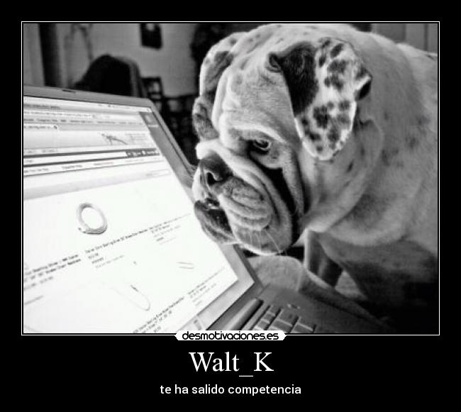 Walt_K - te ha salido competencia