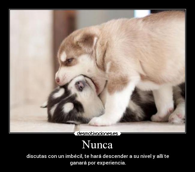 Nunca - discutas con un imbécil, te hará descender a su nivel y allí te ganará por experiencia.