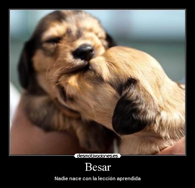 carteles besar beso thor71 desmotivaciones