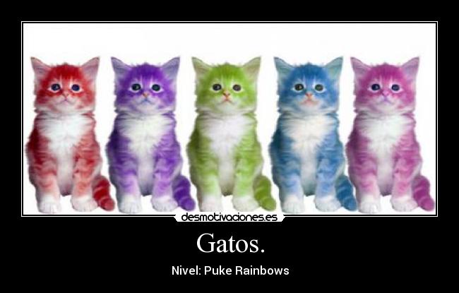 Gatos. - Nivel: Puke Rainbows