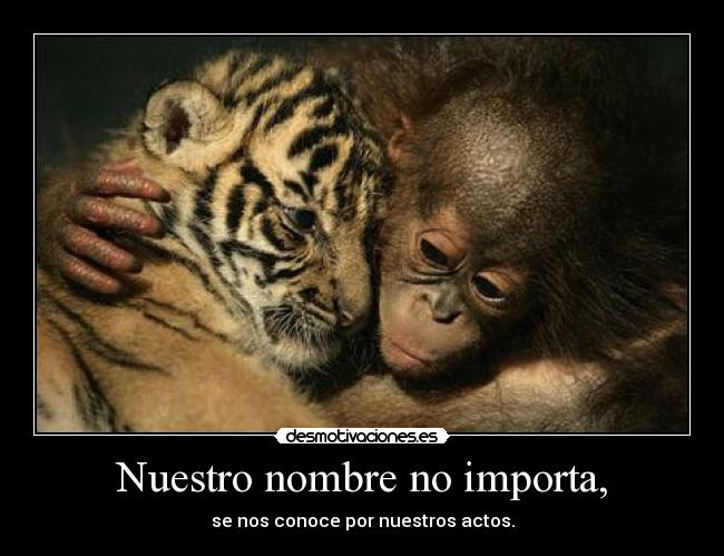 Nuestro nombre no importa, -