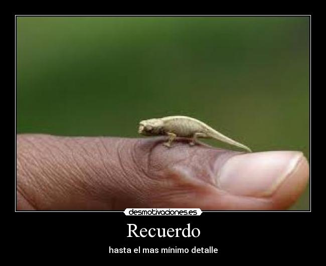 Recuerdo - hasta el mas mínimo detalle