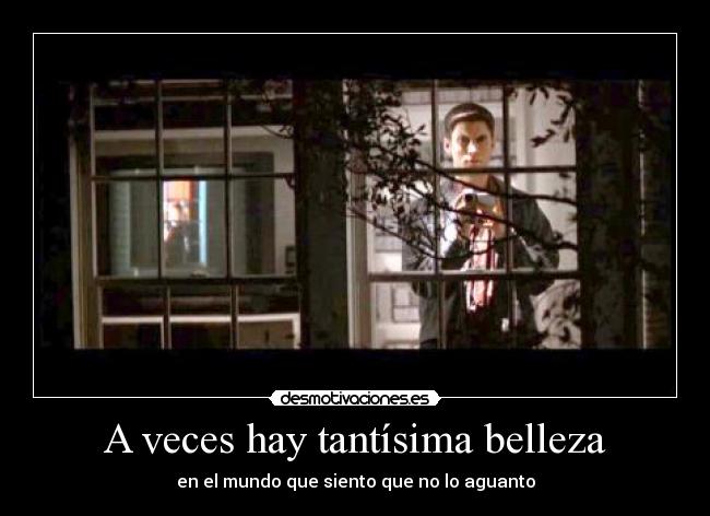 A veces hay tantísima belleza - en el mundo que siento que no lo aguanto