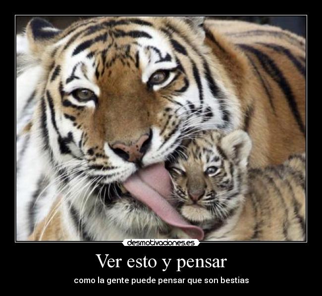 Ver esto y pensar - como la gente puede pensar que son bestias