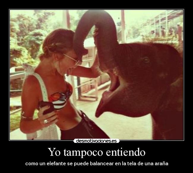 Yo tampoco entiendo -