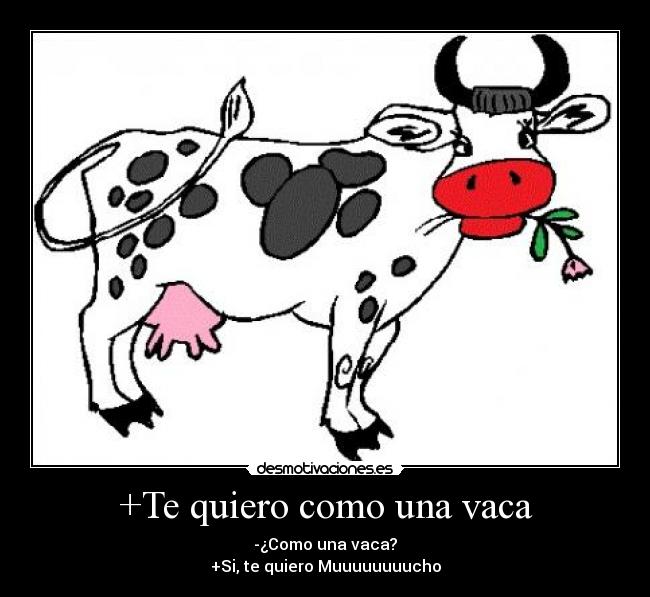 +Te quiero como una vaca - 