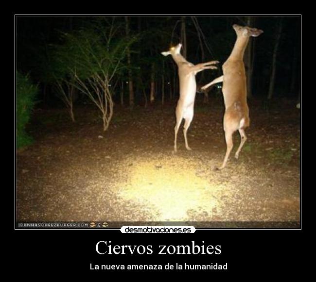 Ciervos zombies - La nueva amenaza de la humanidad