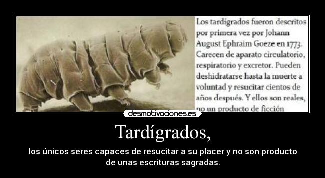 Tardígrados, -