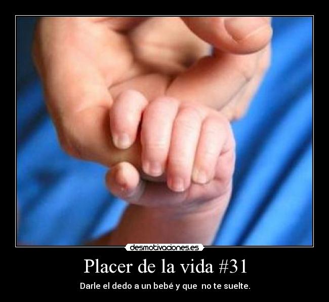 Placer de la vida #31 -