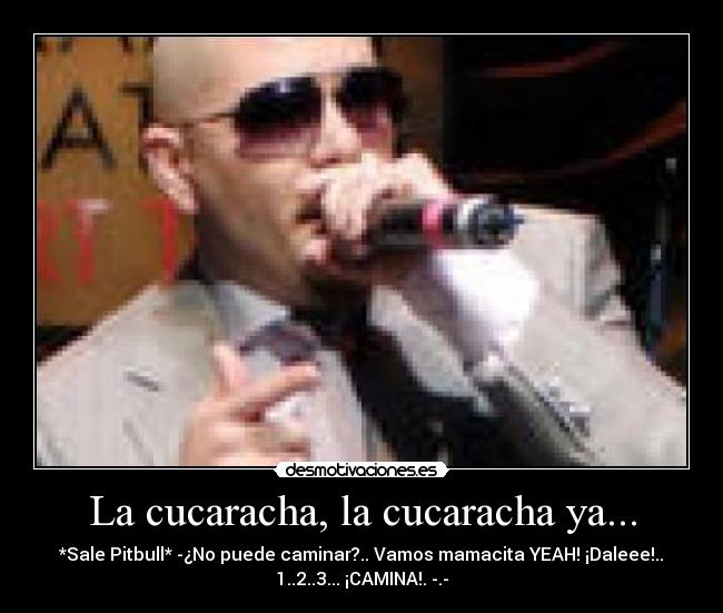 carteles pitbull cancion cucaracha desmotivaciones