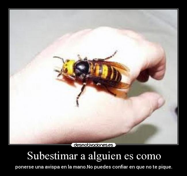 carteles dont desmotivaciones