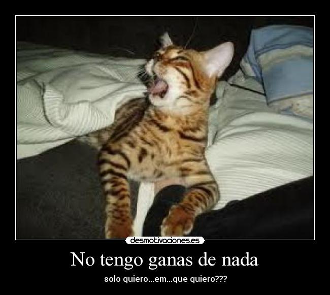 No tengo ganas de nada - solo quiero...em...que quiero???