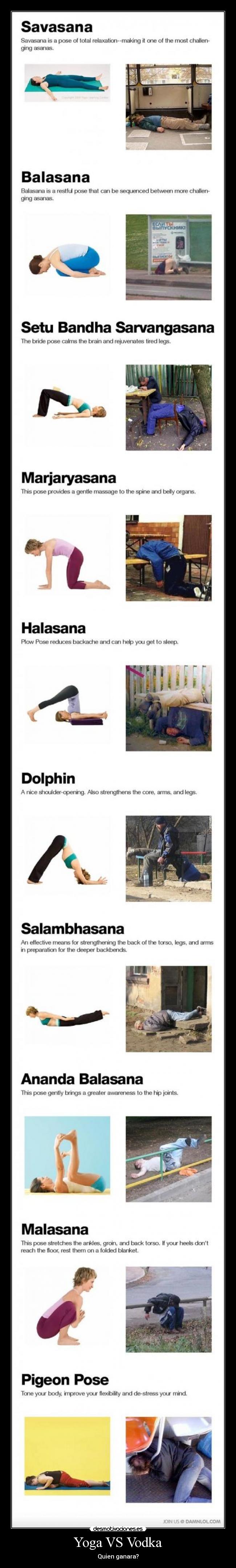 carteles vodka yoga gracioso quien desmotivaciones