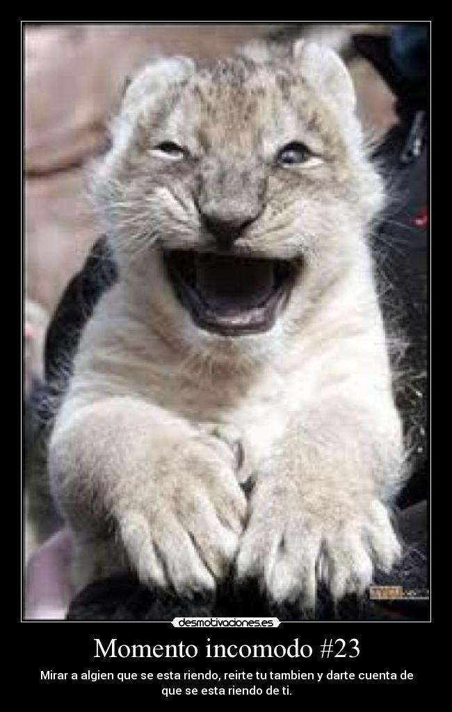 Momento incomodo #23 - 