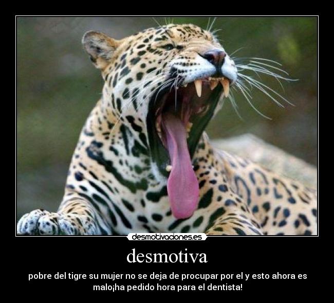desmotiva - pobre del tigre su mujer no se deja de procupar por el y esto ahora es
malo¡ha pedido hora para el dentista!