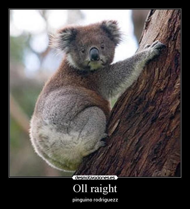 Oll raight - pinguino rodriguezz