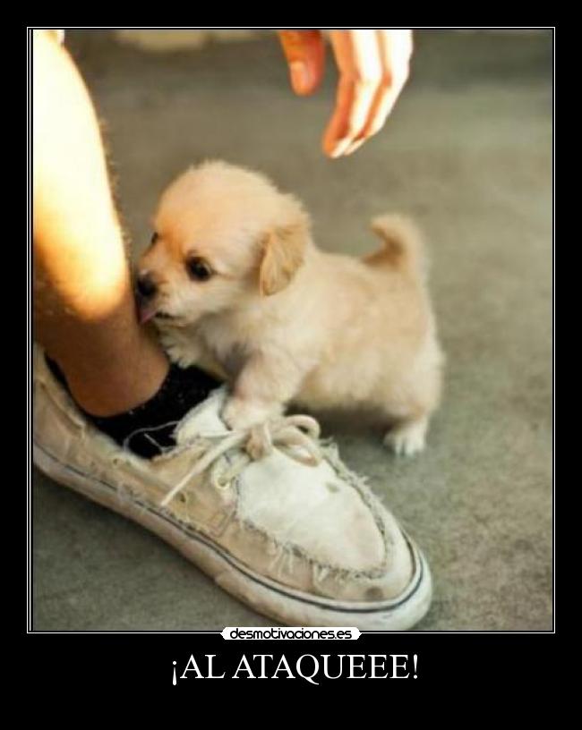 ¡AL ATAQUEEE! - 