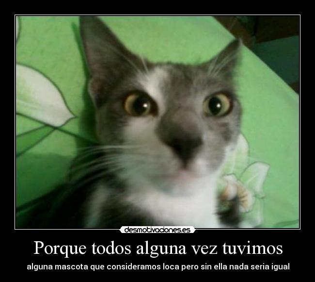 Porque todos alguna vez tuvimos - 