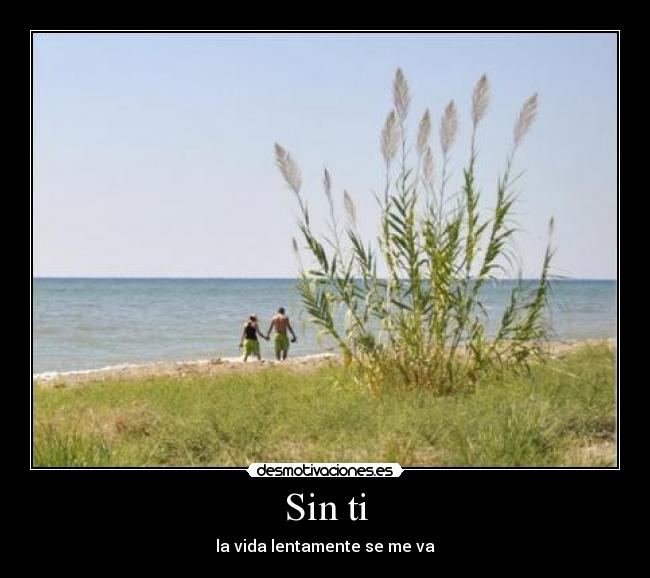 Sin ti - la vida lentamente se me va