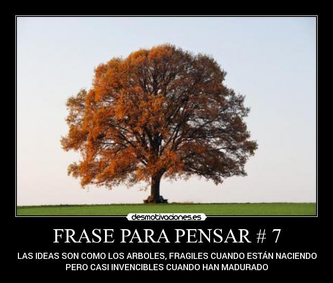 carteles para pensar desmotivaciones