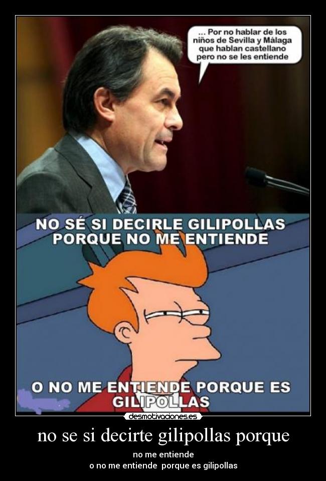 no se si decirte gilipollas porque - 