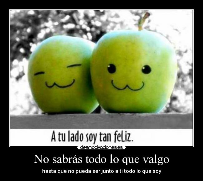No sabrás todo lo que valgo - hasta que no pueda ser junto a ti todo lo que soy