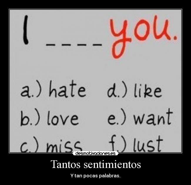 Tantos sentimientos - Y tan pocas palabras.