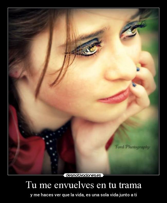 carteles fiore26 desmotivaciones