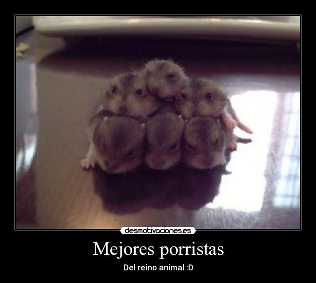 Mejores porristas -
