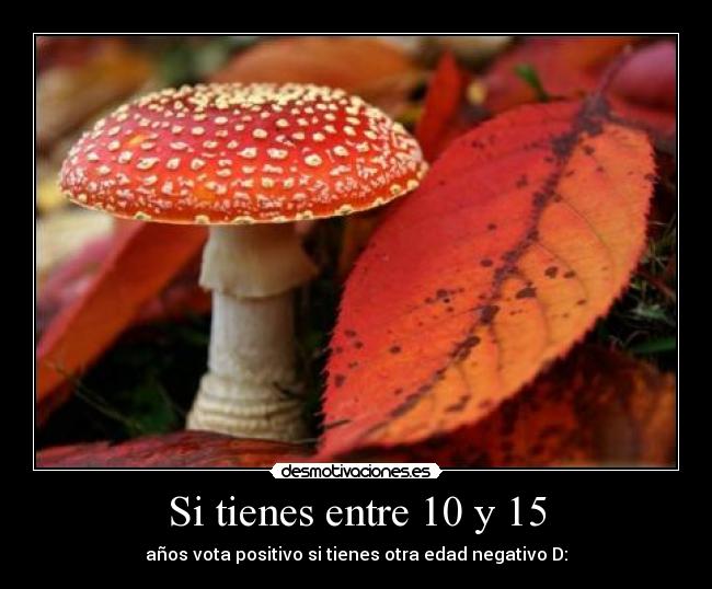 Si tienes entre 10 y 15 - 