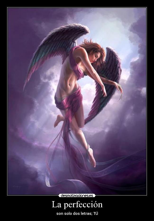 La perfección -