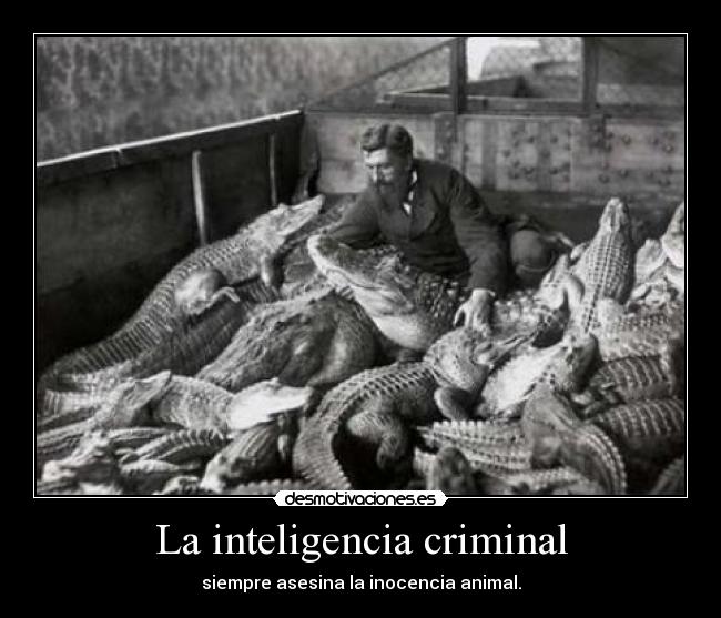 La inteligencia criminal - siempre asesina la inocencia animal.