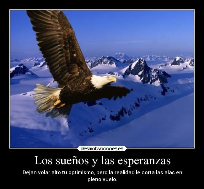 Los sueños y las esperanzas - Dejan volar alto tu optimismo, pero la realidad le corta las alas en pleno vuelo.